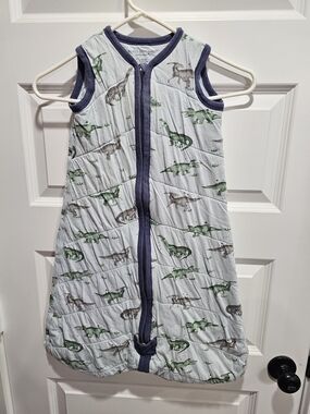 Burt's Bees Baby Sleeveless Dino Sleep Sack in White with Green and Gray